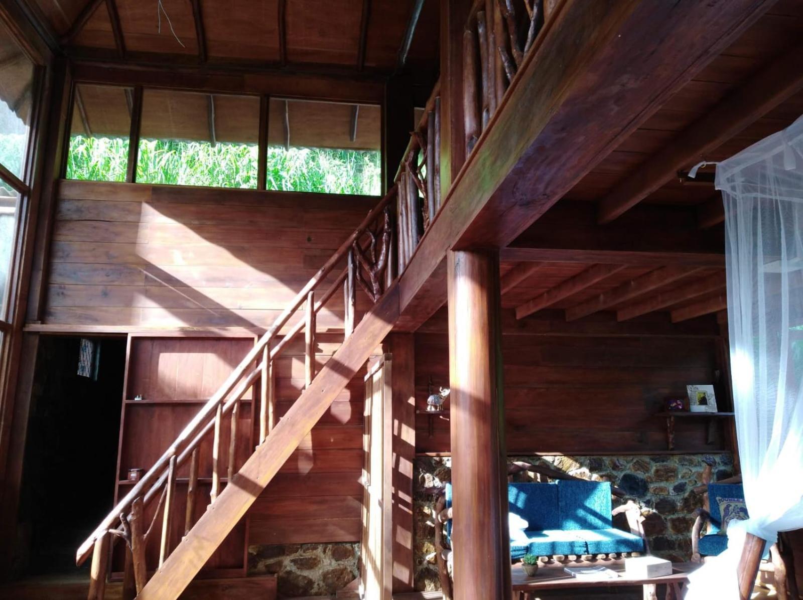 Ella Treehouse Hotell Exteriör bild