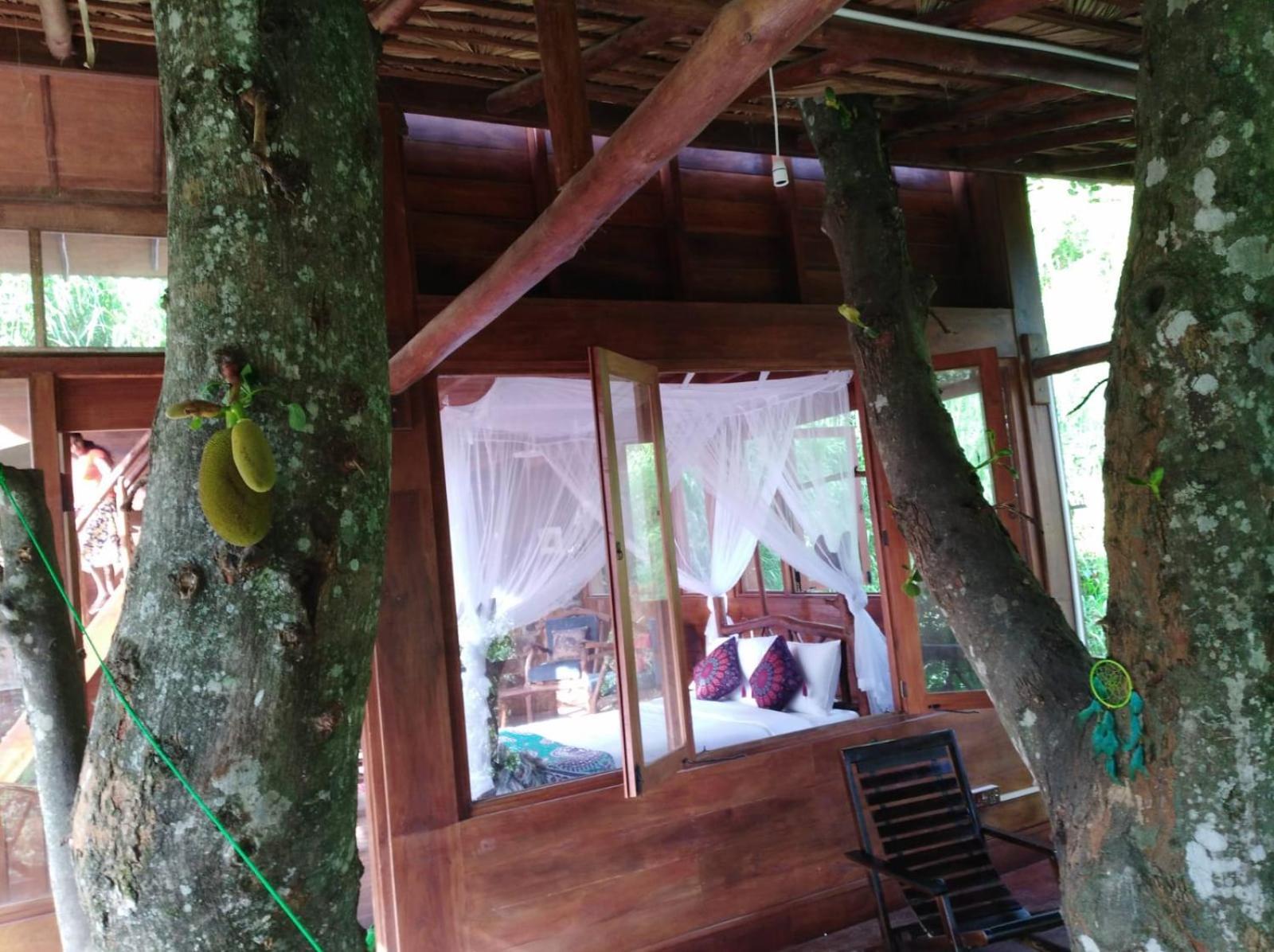 Ella Treehouse Hotell Exteriör bild