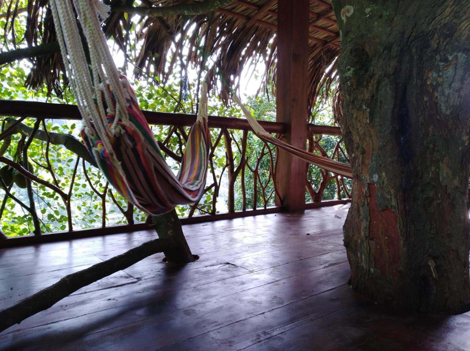 Ella Treehouse Hotell Exteriör bild