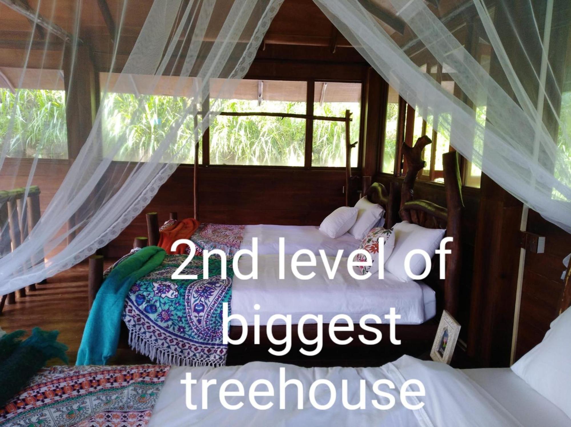 Ella Treehouse Hotell Exteriör bild