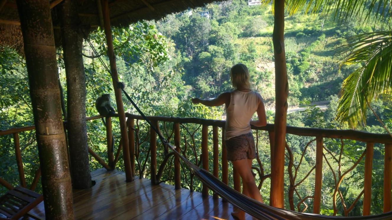 Ella Treehouse Hotell Exteriör bild