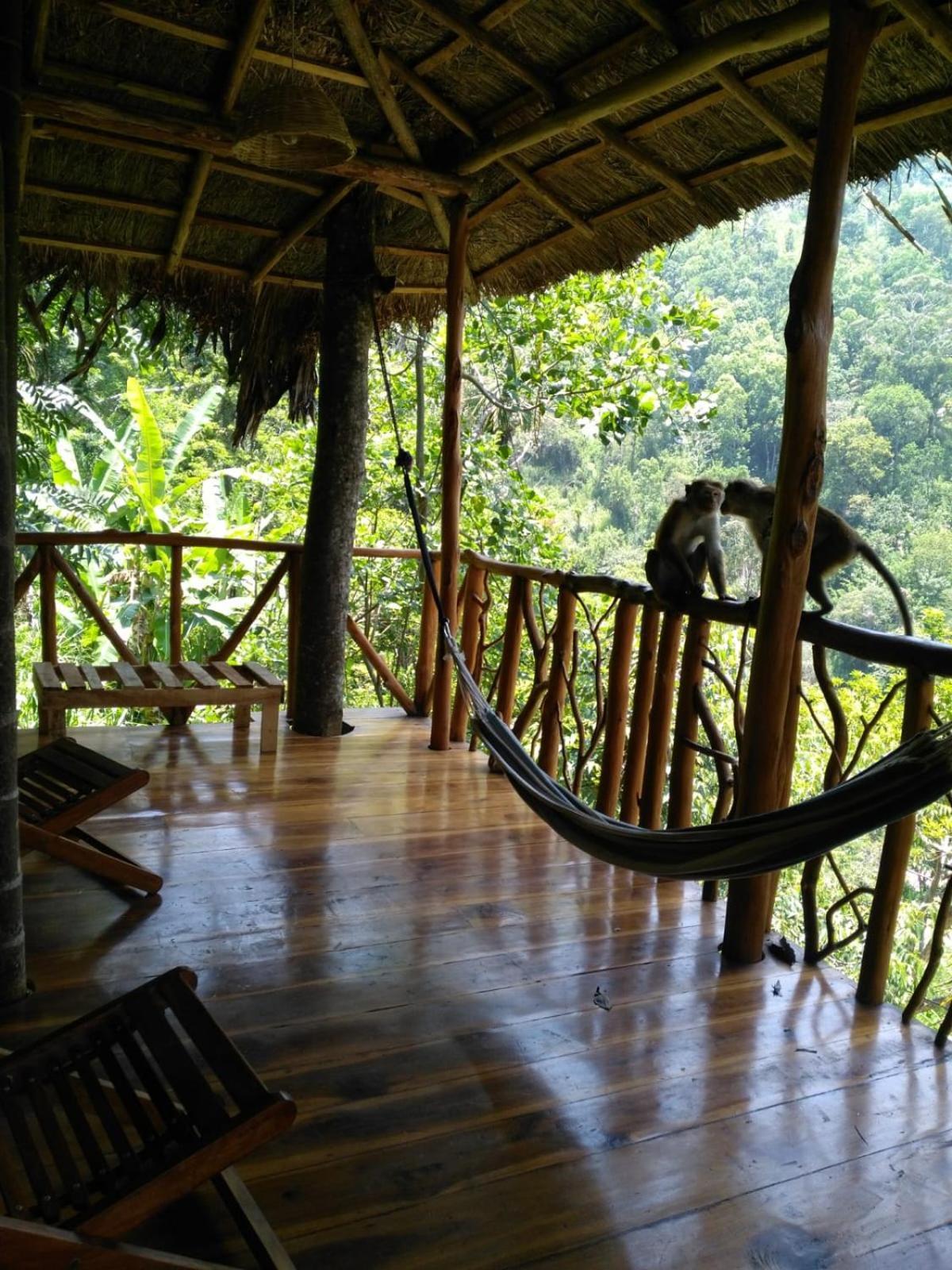 Ella Treehouse Hotell Exteriör bild