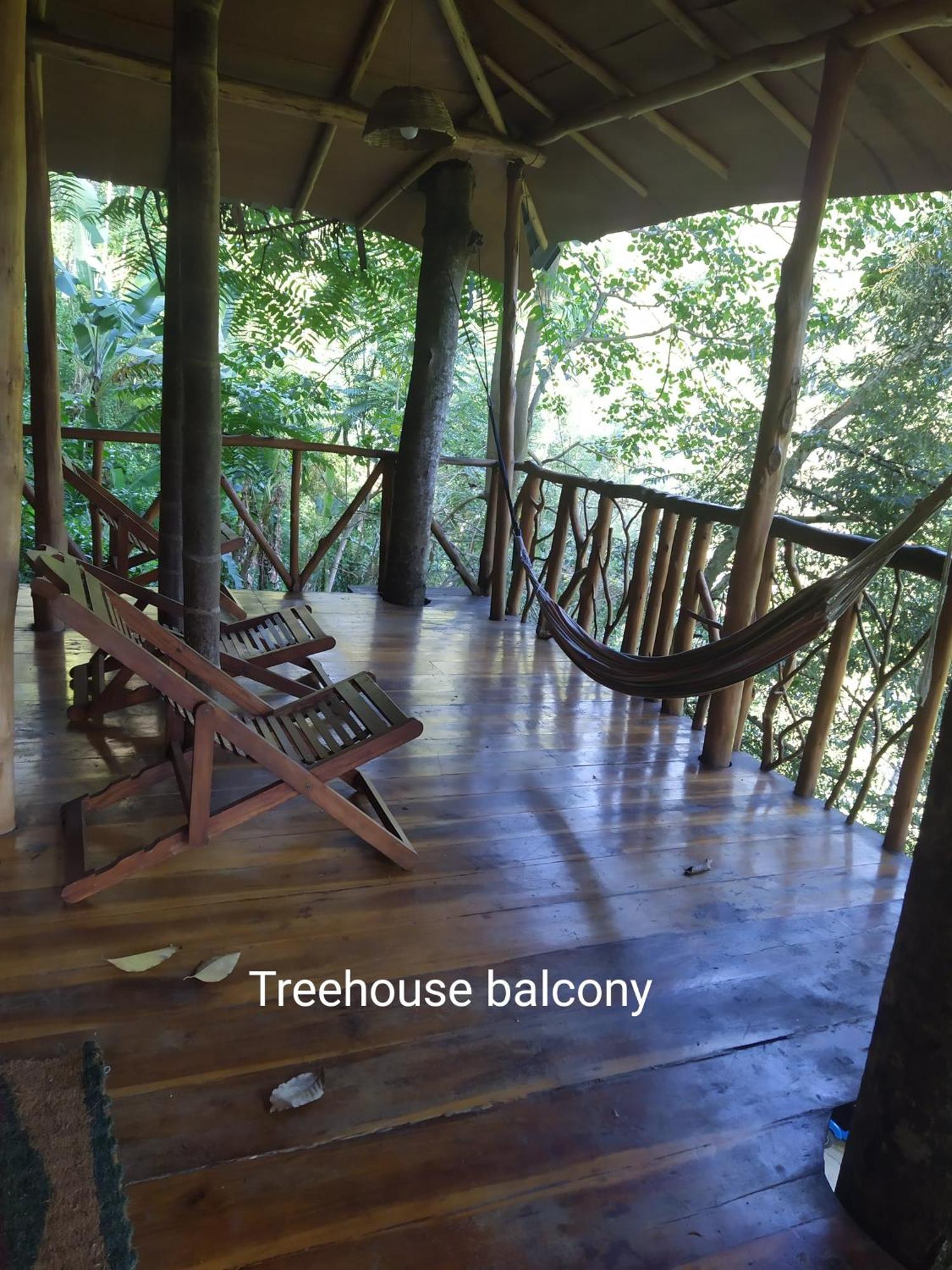 Ella Treehouse Hotell Exteriör bild
