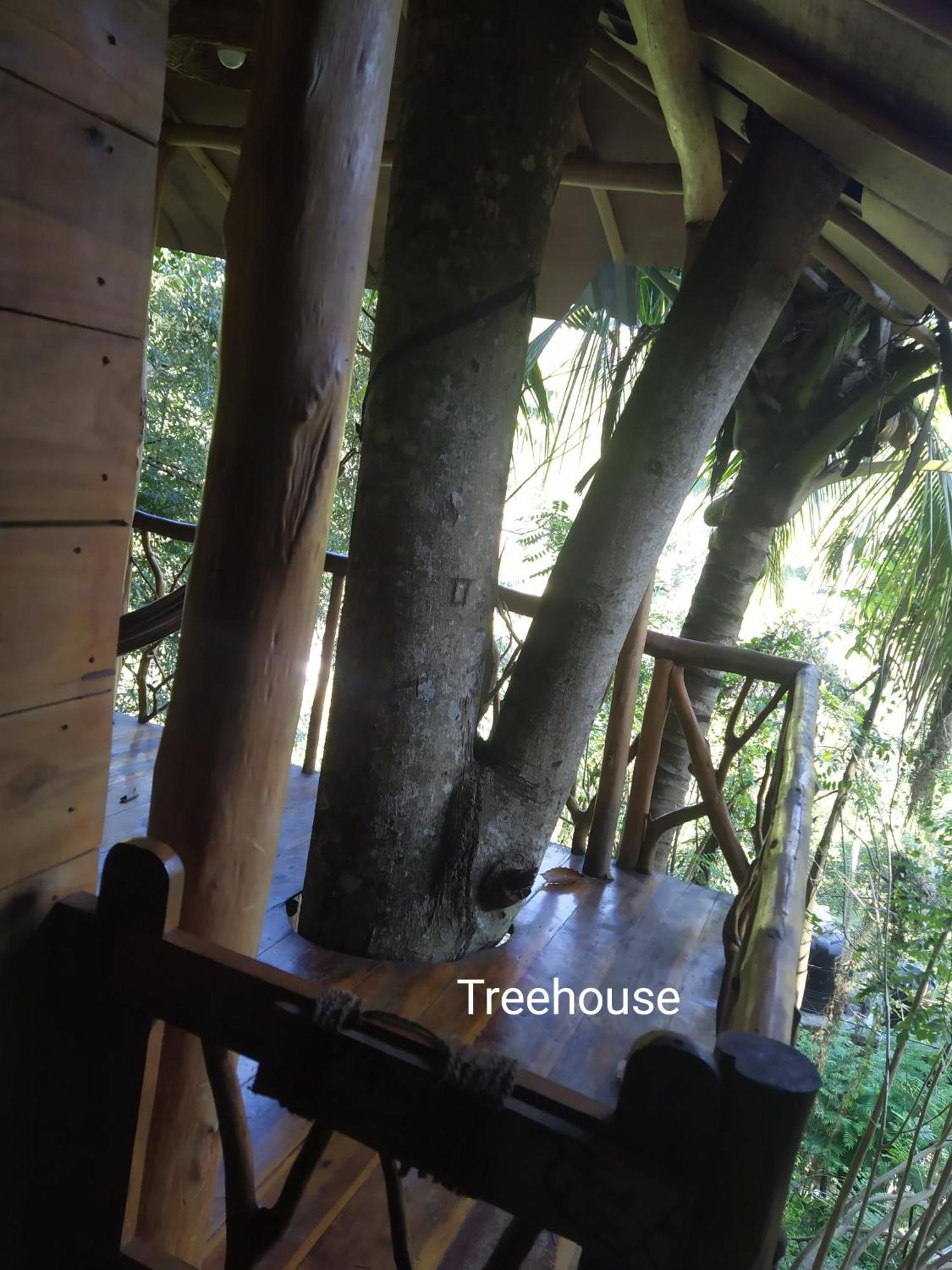 Ella Treehouse Hotell Exteriör bild