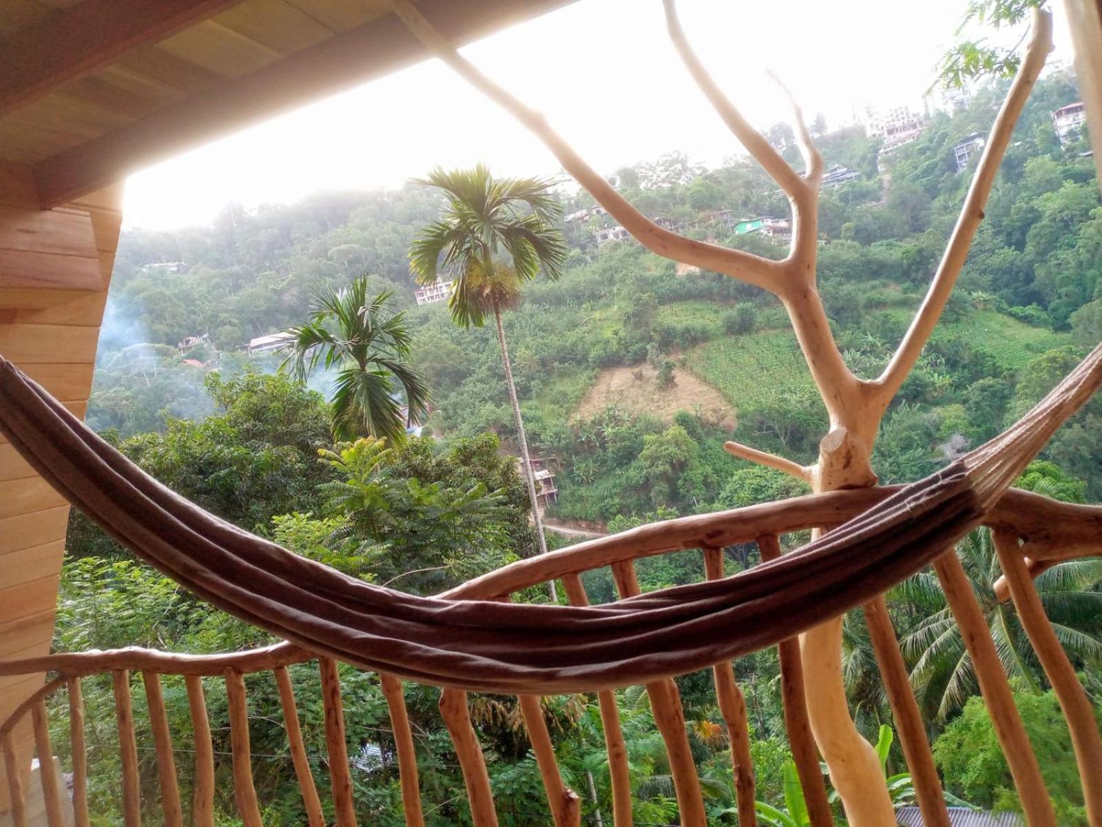 Ella Treehouse Hotell Rum bild